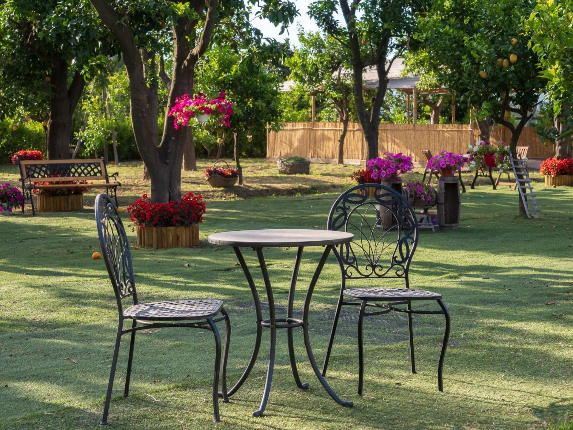 Giardino Di Nonno Lucio - Surrounded By Lemon Tree Villa Piano di Sorrento Exterior photo